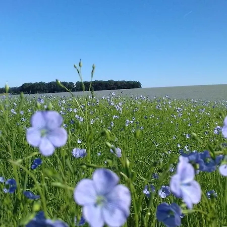 Le De Nath Bretteville-du-Grand Caux